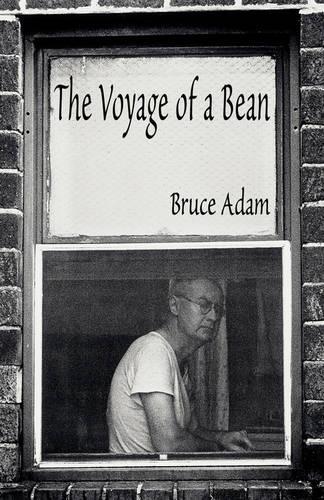 The Voyage of a Bean (Paperback)