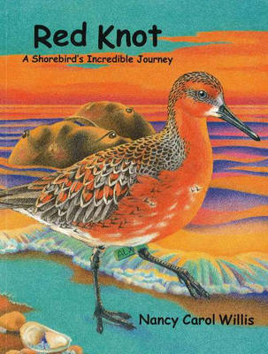 Red Knot: A Shorebird's Incredible Journey (Paperback)