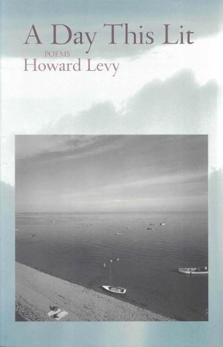 A Day This Lit (Paperback)