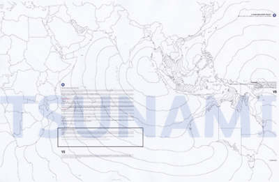 Tsunami: A Document of Devastation (Paperback)