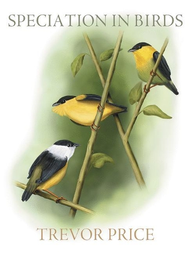 Speciation in Birds (Paperback)