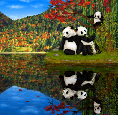 Panda Ming: The Journey of Survival (Hardback)