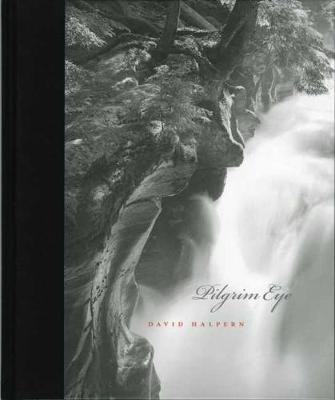 Pilgrim Eye (Hardback)