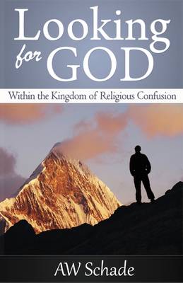 Looking for God within the Kingdom of Religious Confusion (Paperback)
