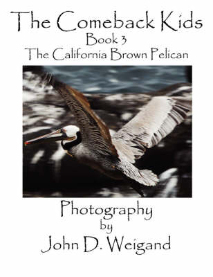 The Comeback Kids, Book 3, the California Brown Pelican (Paperback)