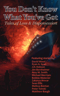 You Don't Know What You've Got... Tales of Loss and Dispossession (Paperback)