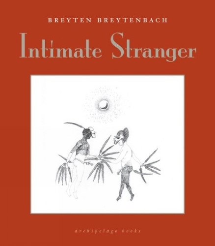 Intimate Stranger (Paperback)