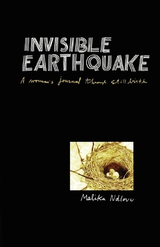 Invisible earthquake: A woman's journal through still birth (Paperback)