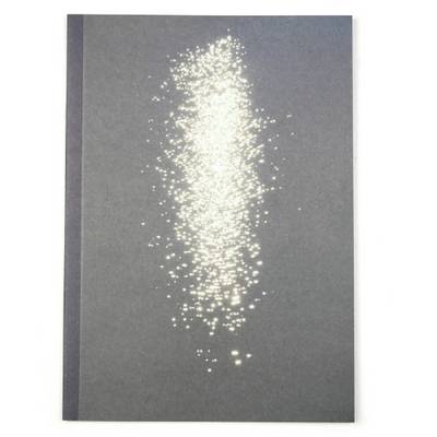 【Mark Borthwick: If We're Pioneer's】 Mark Borthwick | Waterstones