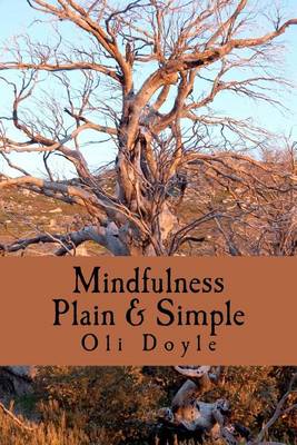Mindfulness Plain & Simple (Paperback)