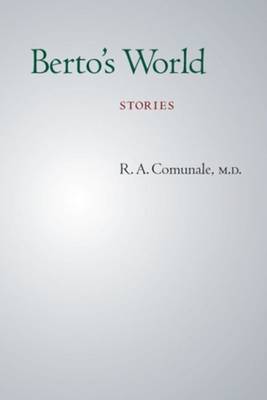 Berto's World: Stories (Paperback)