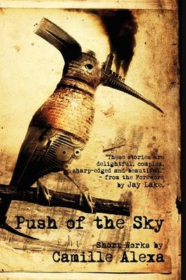 Push of the Sky (Paperback)