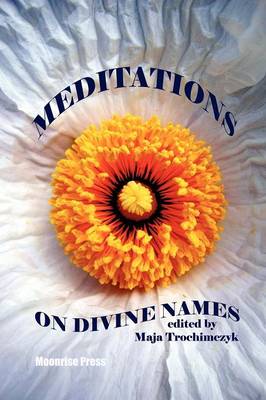 Meditations on Divine Names (Paperback)
