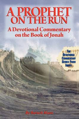 A Prophet On The Run (Paperback)