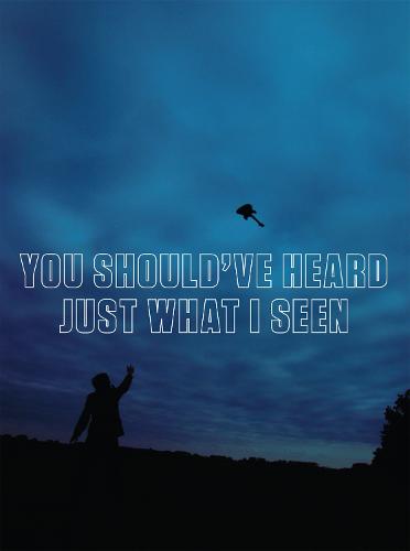You Should've Heard Just What I Seen (Paperback)