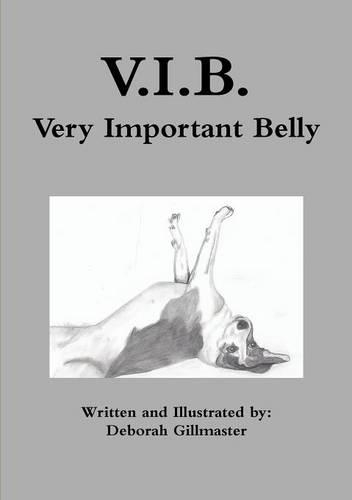 V.I.B. (Paperback)