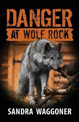Danger at Wolf Rock (Paperback)