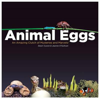 Animal Eggs (Paperback)