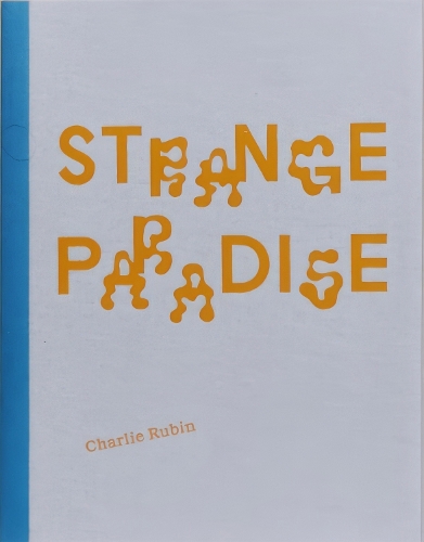 Strange Paradise (Hardback)