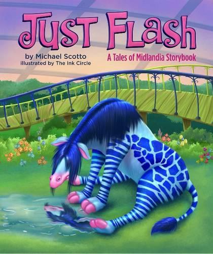 Just Flash (Paperback)