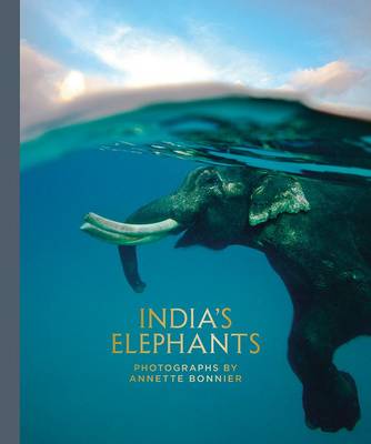India's Elephants (Hardback)