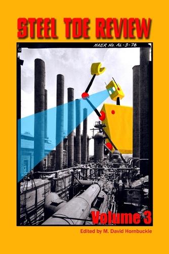 Steel Toe Review, Volume 3 (Paperback)