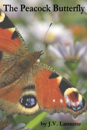 The Peacock Butterfly (Paperback)