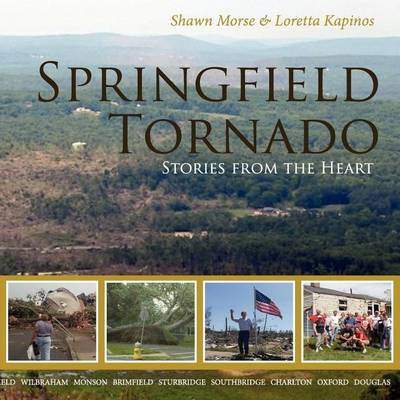 Springfield Tornado: Stories From The Heart (Paperback)