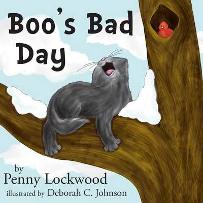 Boo's Bad Day (Paperback)