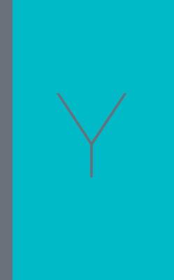 Y - Christian Millennial Manifesto: Addressing Our Strengths and Weaknesses to Advance the Kingdom of God (Paperback)