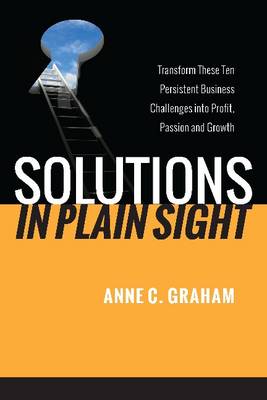 Solutions in Plain Sight (Hardback)