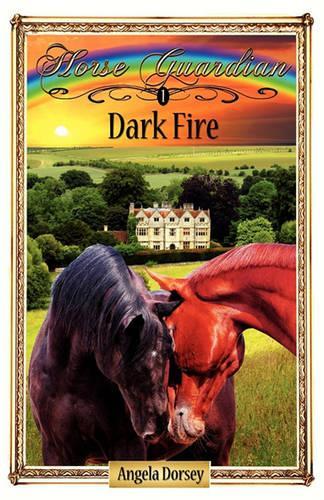 Dark Fire (Paperback)