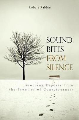 Sound Bites from Silence: Scouting Reports from the Frontier of Consciousness (Paperback)