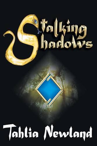 Stalking Shadows (Paperback)