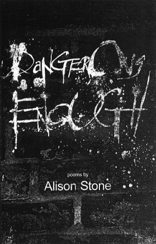 Dangerous Enough (Paperback)