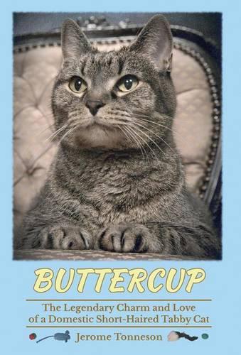 Buttercup - The Legendary Charm and Love of a Domestic Short-Haired Tabby Cat (Hardback)