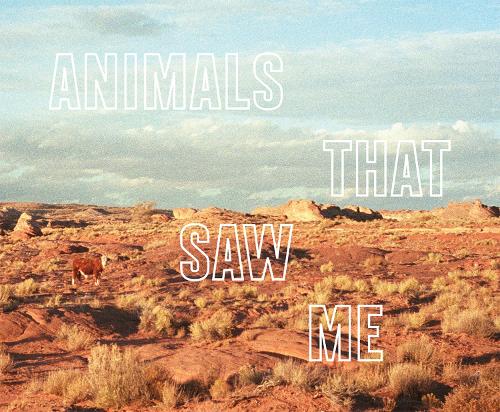 Ed Panar - Animals That Saw Me (Hardback)