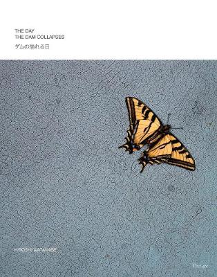 The Day the Dam Collapses (Hardback)