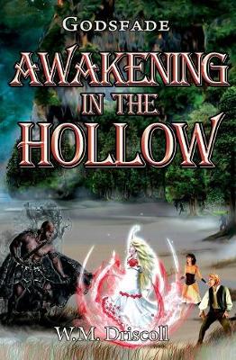 Awakening in the Hollow - Godsfade 2 (Paperback)