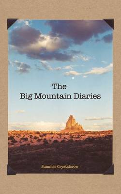 The Big Mountain Diaries (Paperback)
