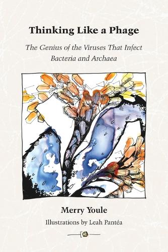 Thinking Like a Phage: The Genius of the Viruses That Infect Bacteria and Archaea (Paperback)