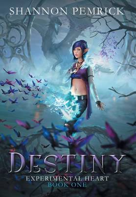 Destiny - Experimental Heart 1 (Hardback)