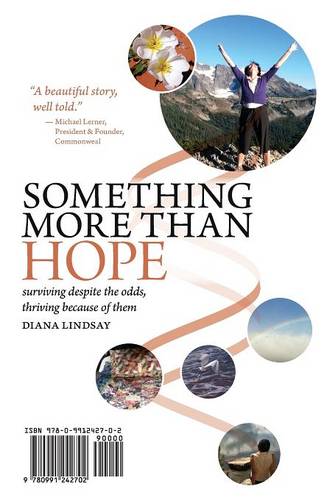 Something More Than Hope/Something More Than Everything: Surviving Despite the Odds, Thriving Because of Them (Paperback)