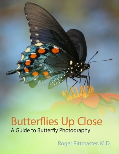 Butterflies Up Close (Paperback)
