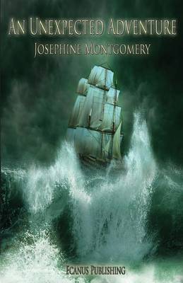 An Unexpected Adventure (Paperback)