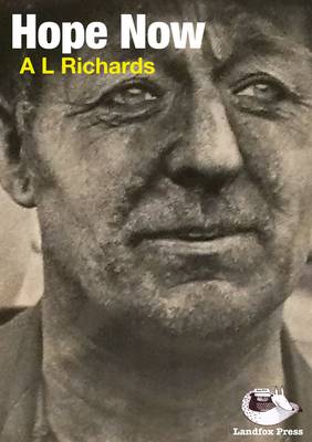 Hope Now (Paperback)