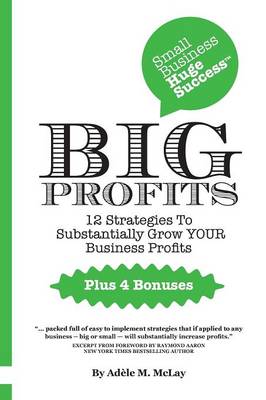 Small Business Huge Success - Big Profits!: 12 Strategies to Substantially Grow Your Business Profits (Paperback)