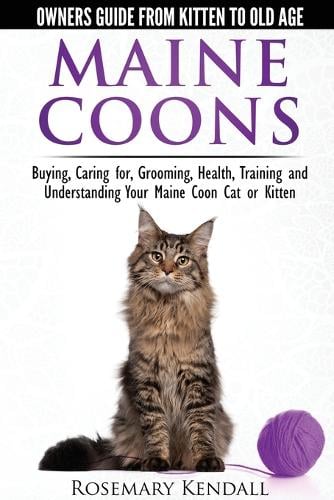 Maine Coon Cats: The Owners Guide from Kitten to Old Age: Buying, Caring For, Grooming, Health, Training, and Understandi Ng Your Maine Coon (Paperback)