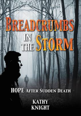 Breadcrumbs in the Storm (Paperback)