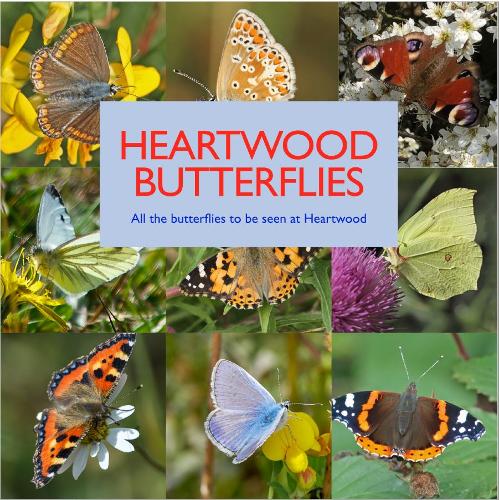 Heartwood Butterflies by Brian Legg, Andrew Steele | Waterstones